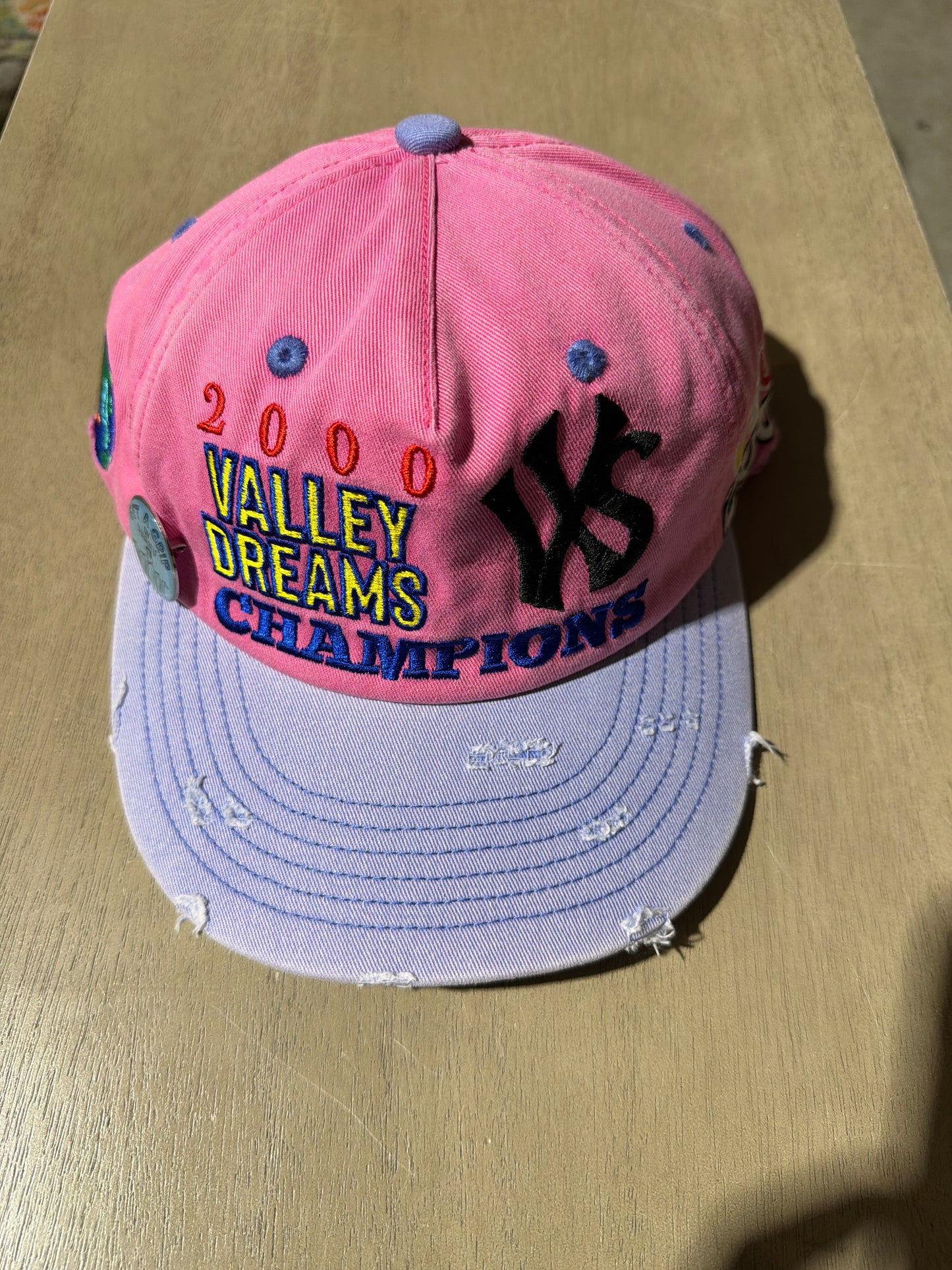 Vale Piggy Bank Snapback