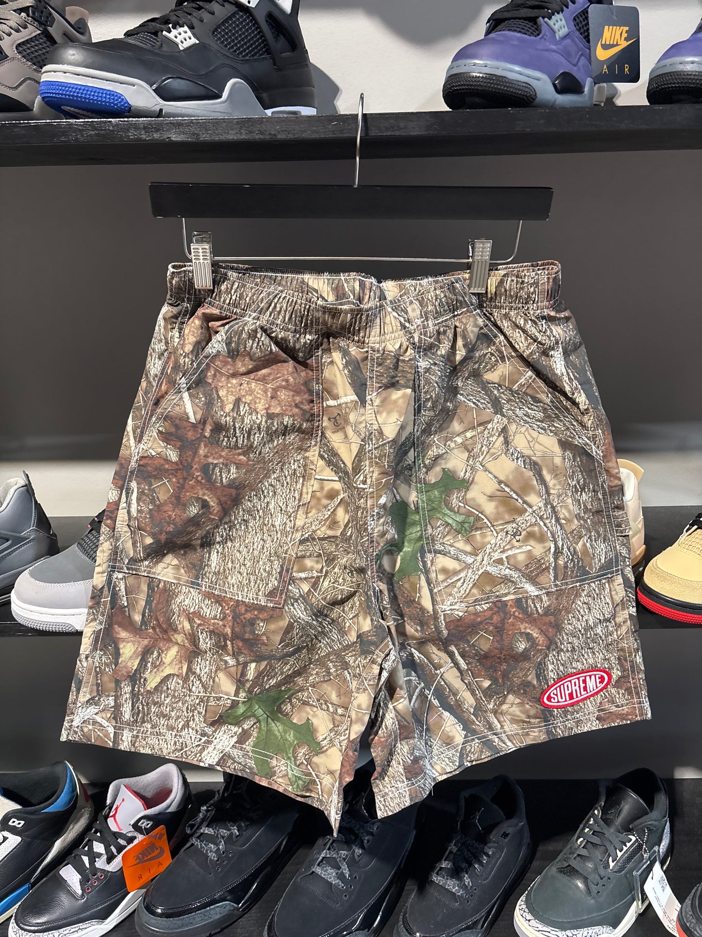 Supreme Painter Camo Shorts