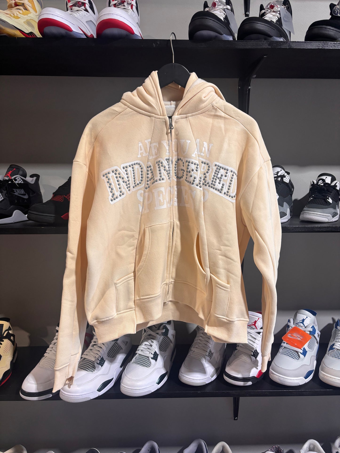 Indangered species cream defective hoodie