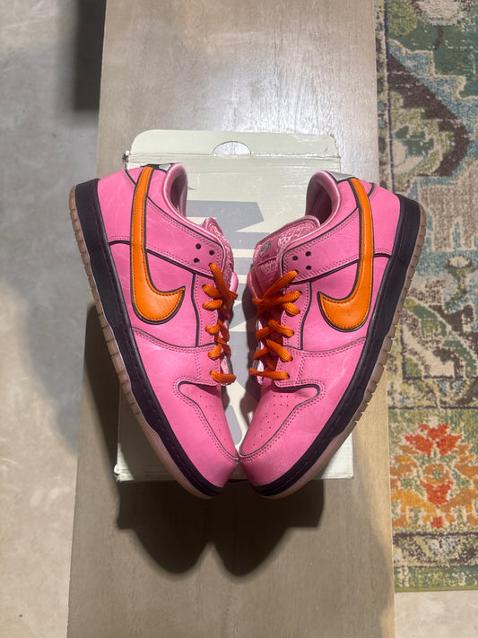 Nike Sb Powerpuff Blossom used Sz 11.5