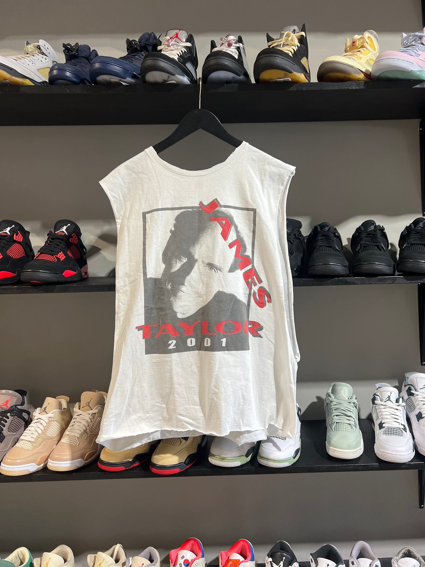 Vintage James Taylor cutoff tee 2001