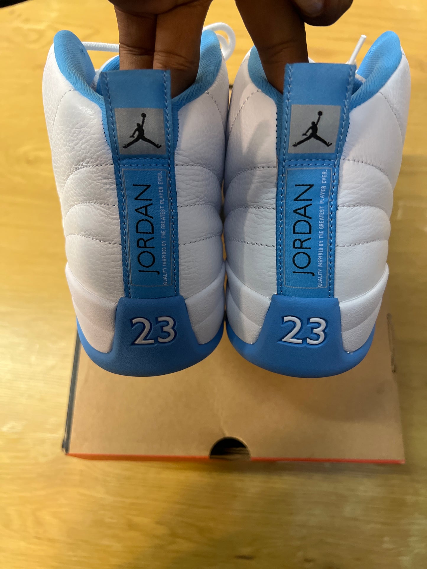 AIR JORDAN 12 RETRO MELO 2025 USED 8.5