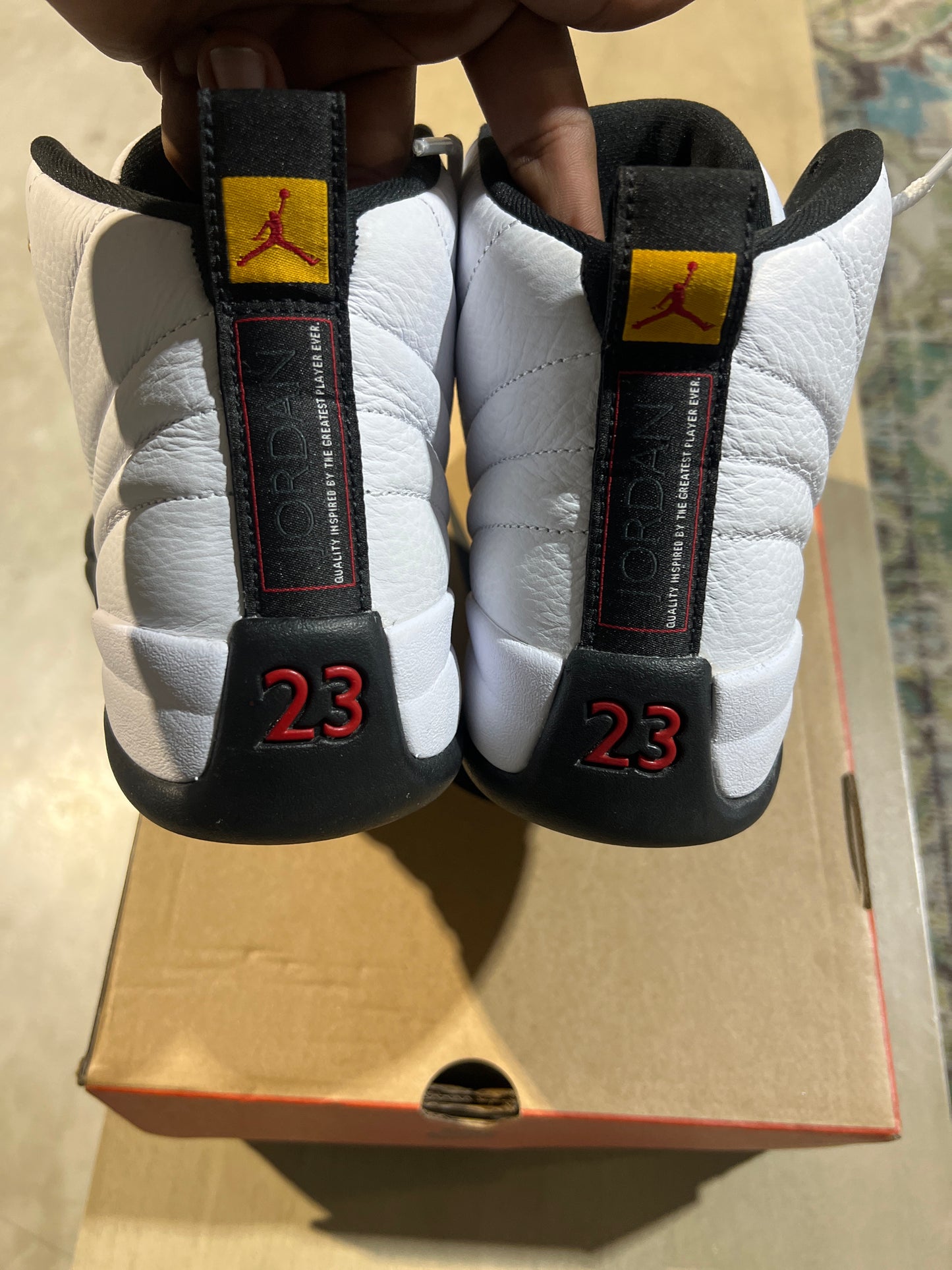 Jordan 12 Taxi 2025 Used sz 8.5