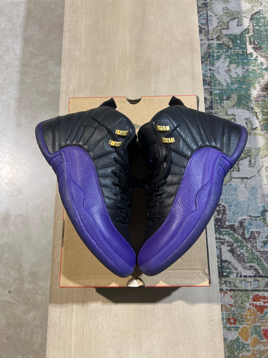 Jordan 12 Field Purple Used Sz 11