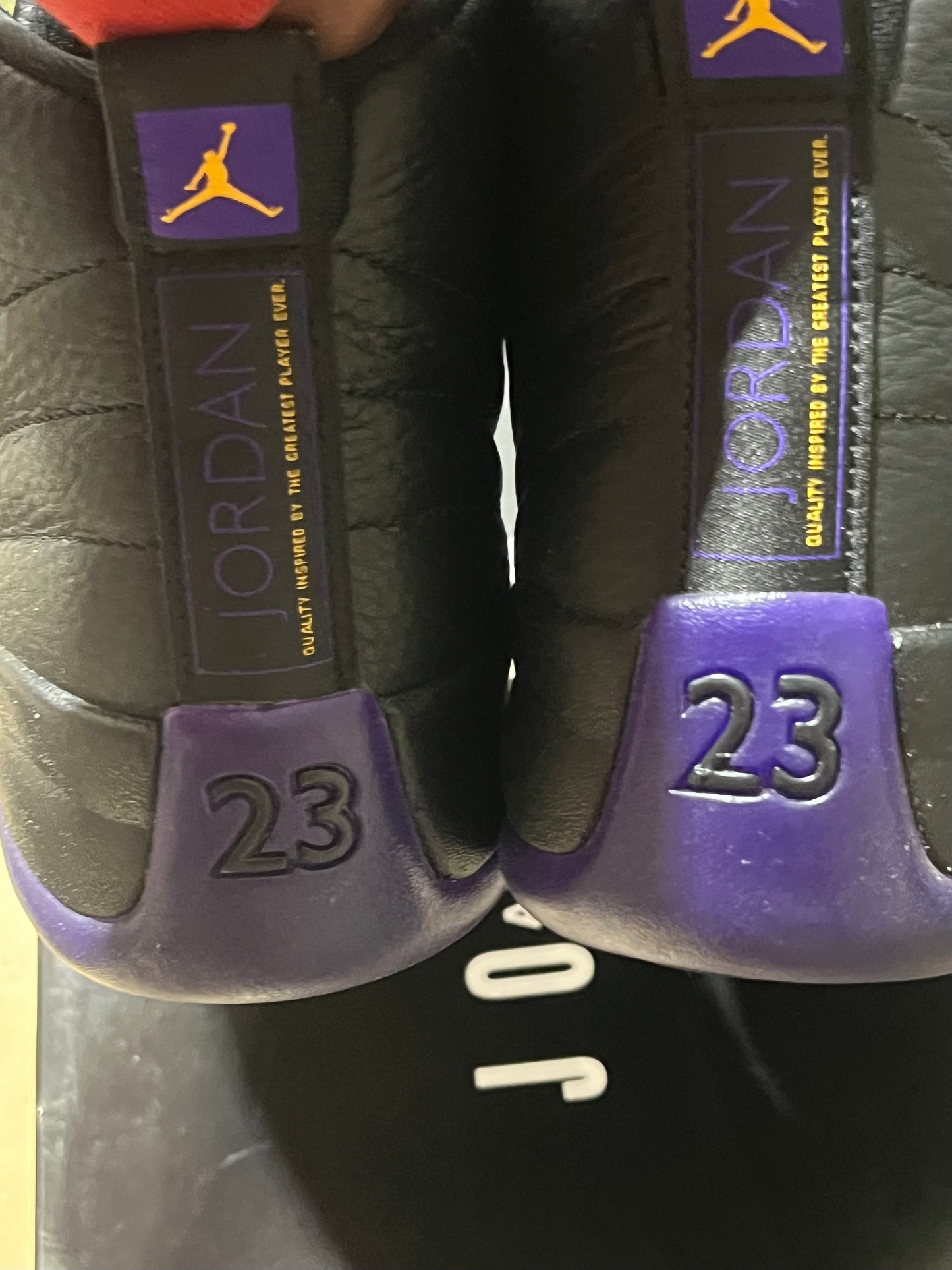 Jordan 12 field purple used sz 13 RB