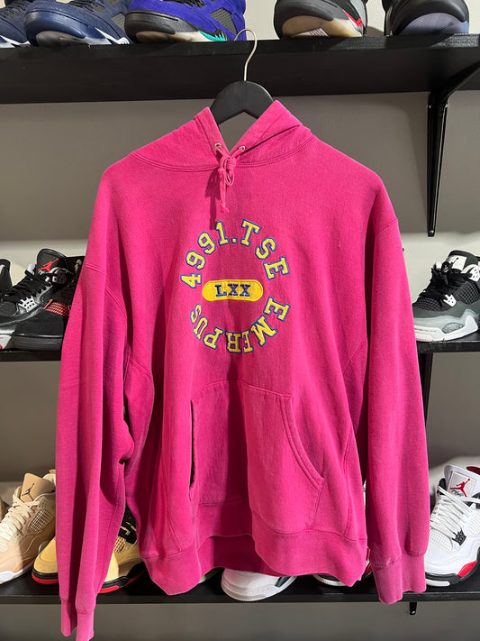 supreme 2023 pink hoodie nwt