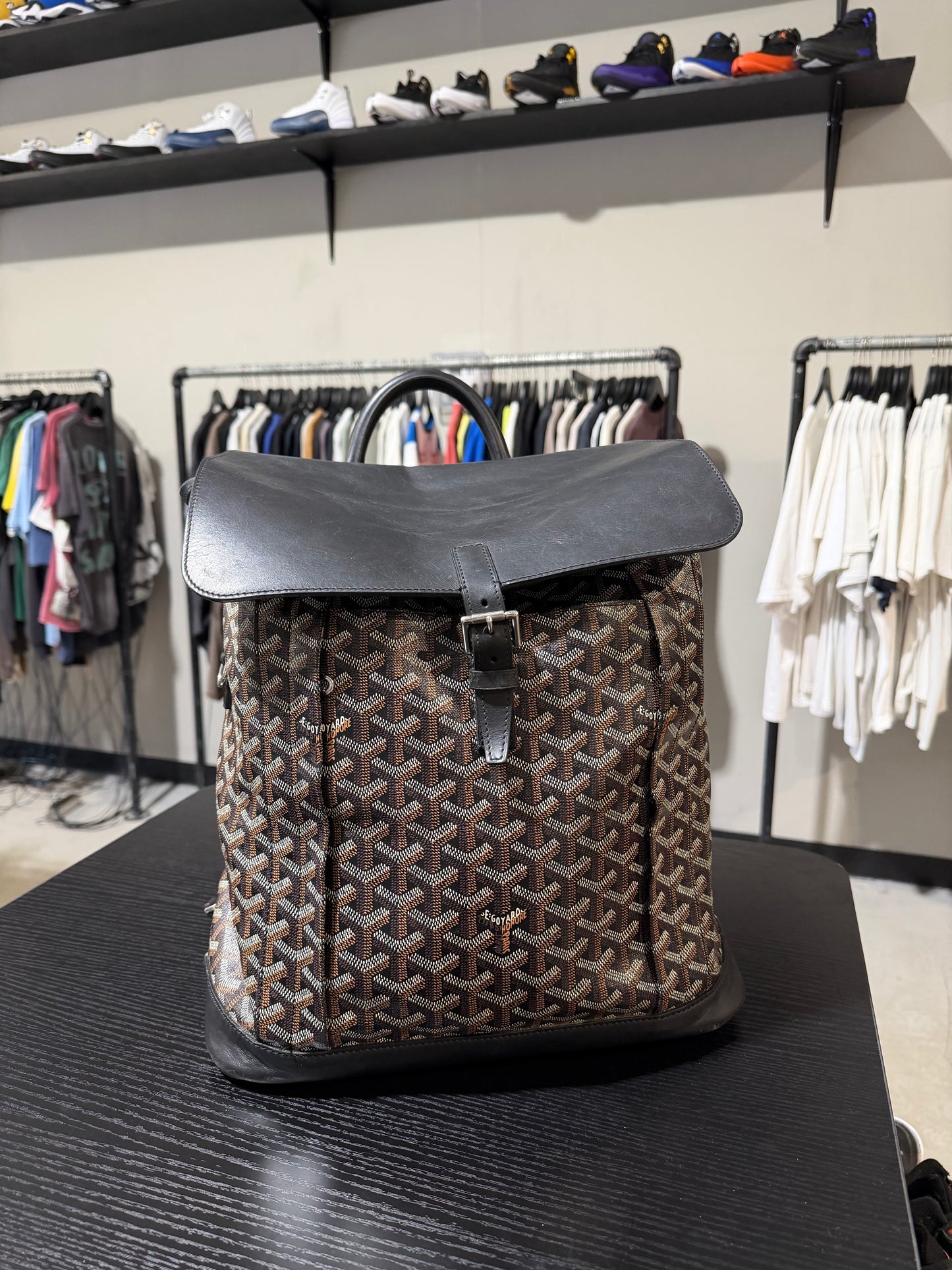 Goyard Alpin Bookbag