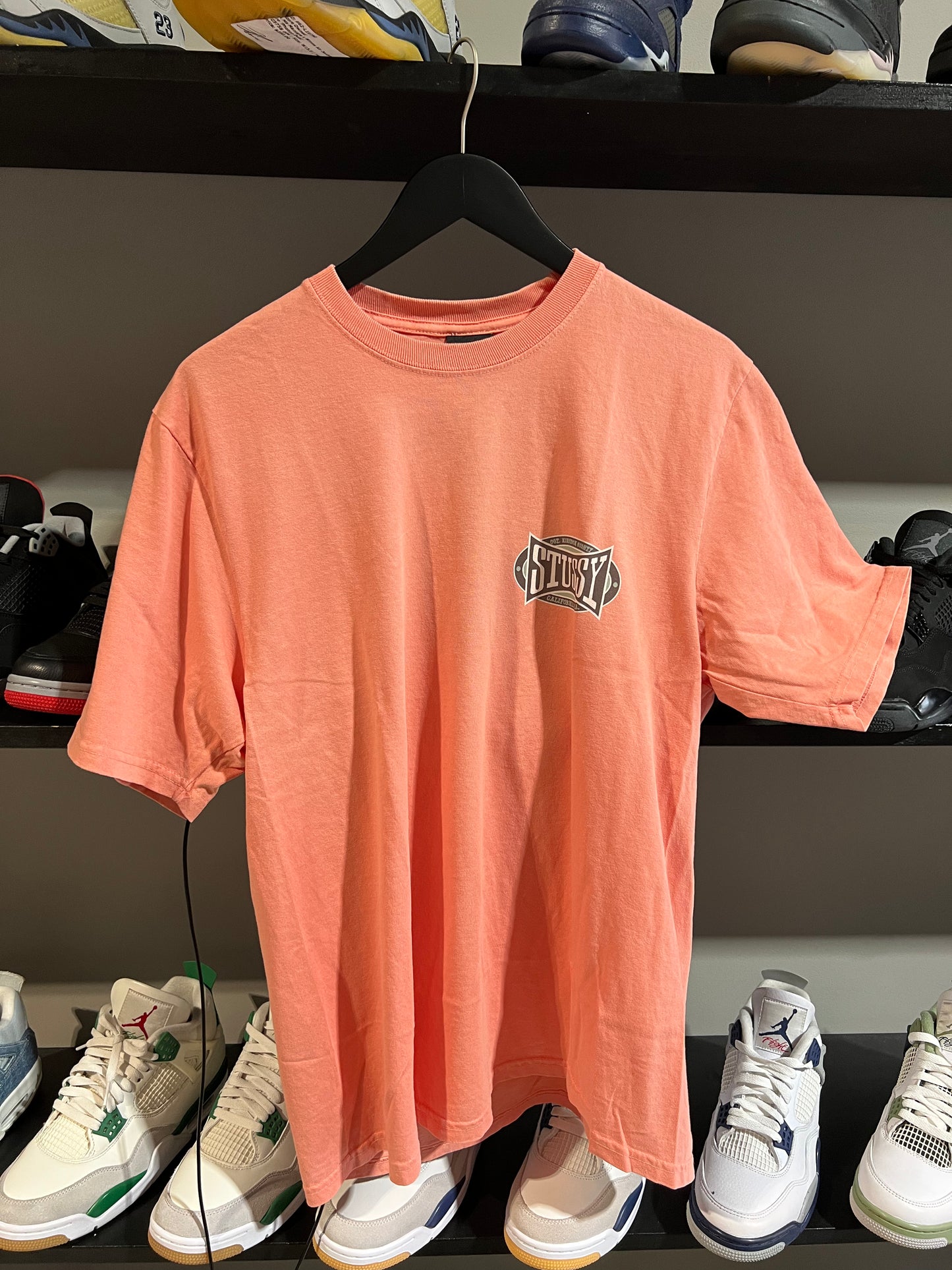 Study Champion Tee Sherbert