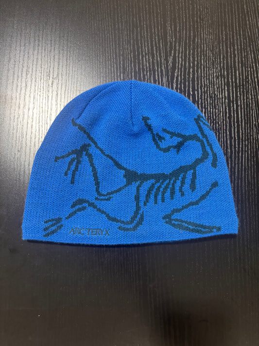 arcteryx beanie blue and green